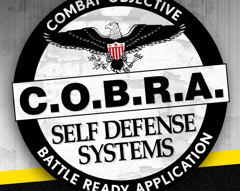 Cobra-Banner-Pic-825×658
